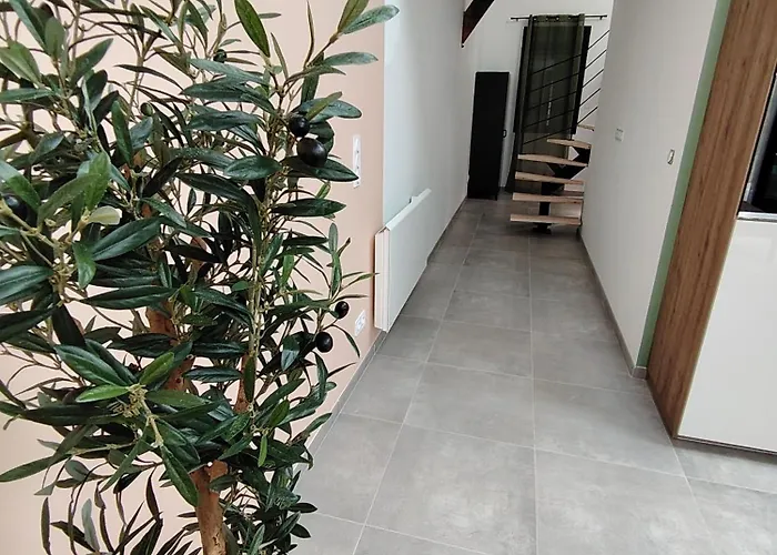 Le Petit Marais Villa